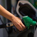 Early Adopters Begin Activating Shards on the Bitcoin Everlight Network